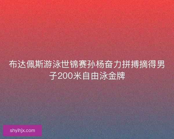 布达佩斯游泳世锦赛孙杨奋力拼搏摘得男子200米自由泳金牌