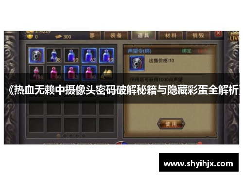 《热血无赖中摄像头密码破解秘籍与隐藏彩蛋全解析》