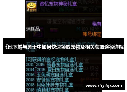 《地下城与勇士中如何快速领取宠物及相关获取途径详解》